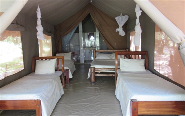 Enchoro Wildlife Camp
