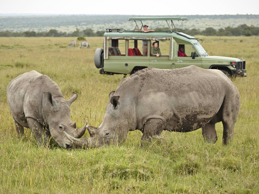 Kenya Safari Holiday