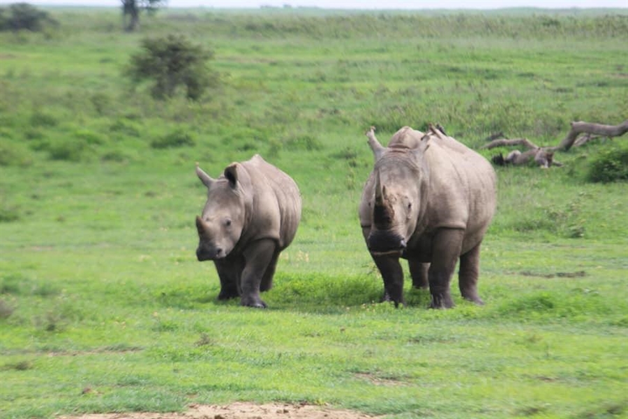 Enchoro Wildlife Camp