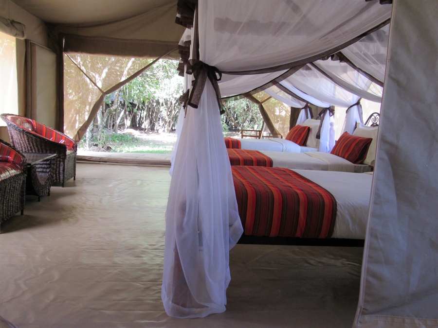 mara tented camp kenya mara tented camp kenya